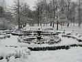Herb garden in the snow, Greenwich Park P1070368